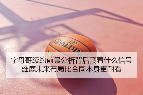 字母哥续约前景分析背后藏着什么信号 雄鹿未来布局比合同本身更耐看